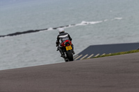 PJ-Motorsport-2019;anglesey-no-limits-trackday;anglesey-photographs;anglesey-trackday-photographs;enduro-digital-images;event-digital-images;eventdigitalimages;no-limits-trackdays;peter-wileman-photography;racing-digital-images;trac-mon;trackday-digital-images;trackday-photos;ty-croes